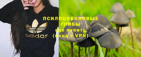 МДПВ Арсеньев