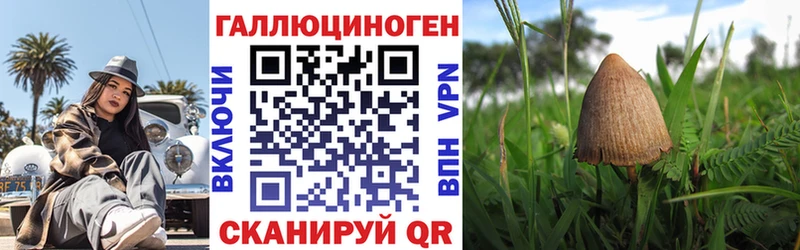Псилоцибиновые грибы Cubensis  купить наркоту  Бодайбо 